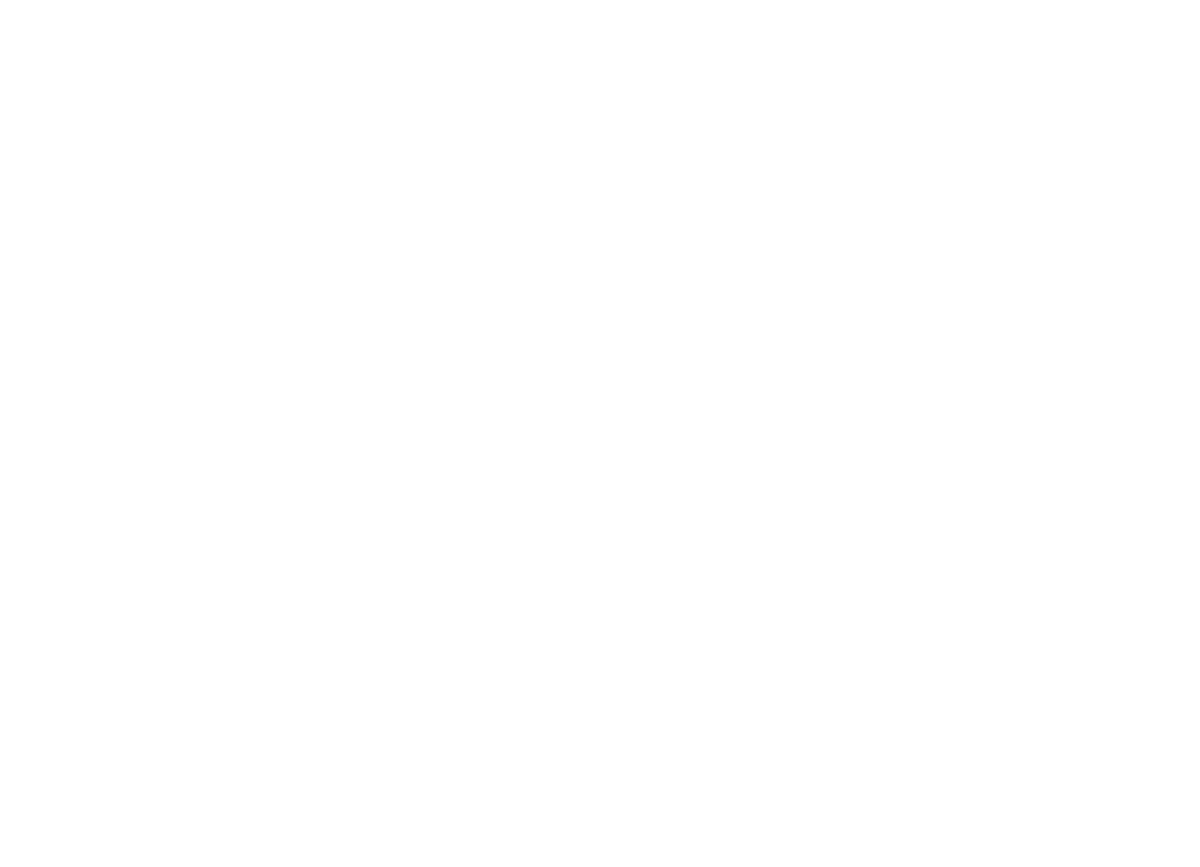 DigiDan logo